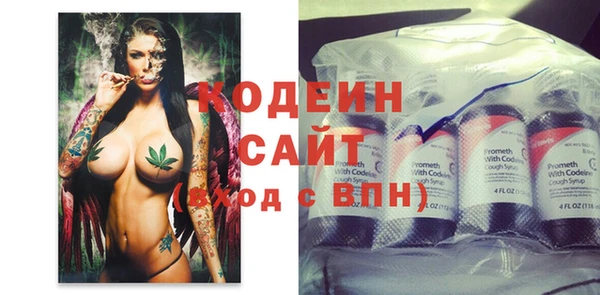 дживик Арсеньев